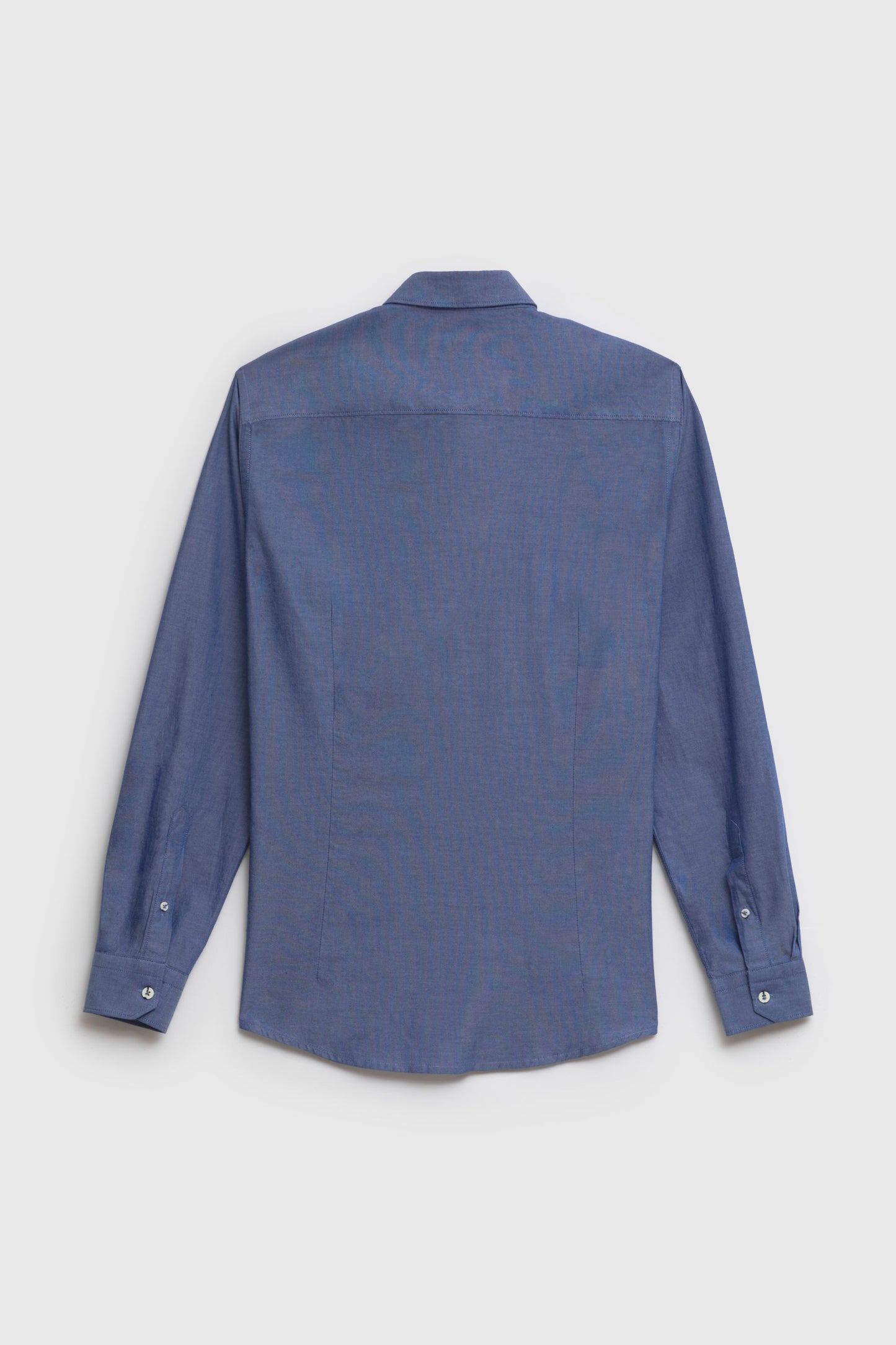 Camicia in 100% oxford di cotone con collo clip down